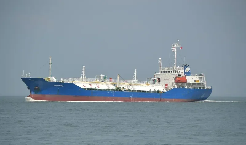 TOMSON GAS General Cargo IMO 8811766 photo 5