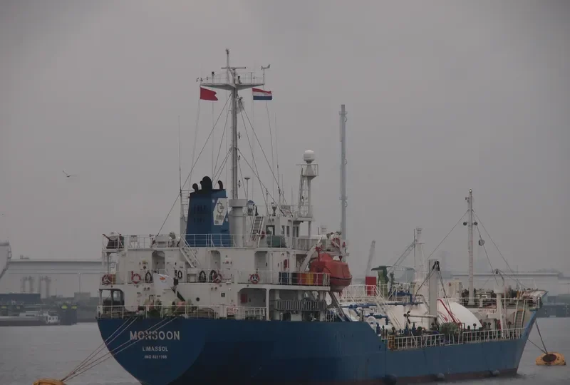 TOMSON GAS General Cargo IMO 8811766 photo 8