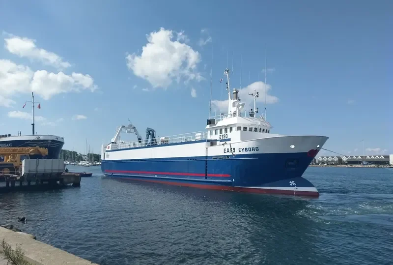 EYBORG General Cargo IMO 8812057