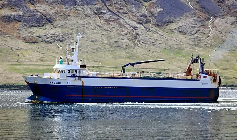 EYBORG General Cargo IMO 8812057 photo 2