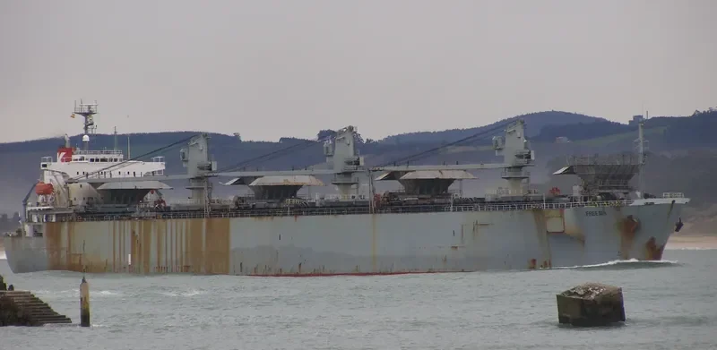 FREESIA Bulk Carrier IMO 8812629