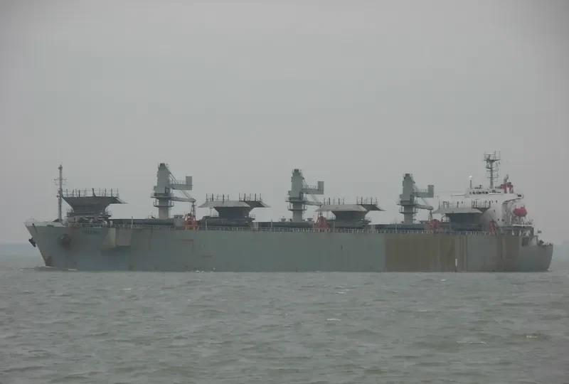 FREESIA Bulk Carrier IMO 8812629 photo 2