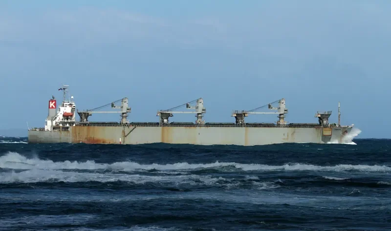 FREESIA Bulk Carrier IMO 8812629 photo 3