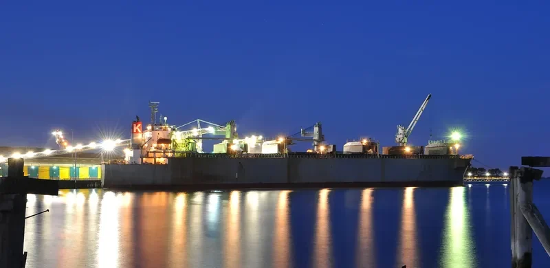 FREESIA Bulk Carrier IMO 8812629 photo 4