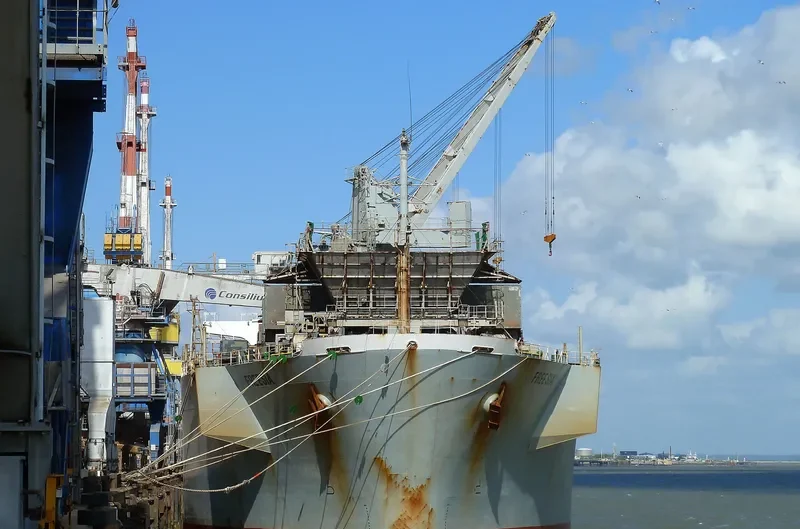 FREESIA Bulk Carrier IMO 8812629 photo 5