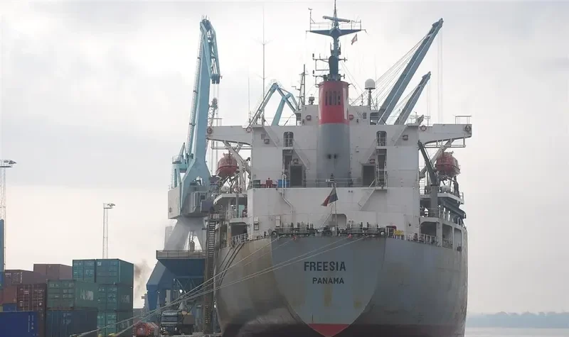 FREESIA Bulk Carrier IMO 8812629 photo 6