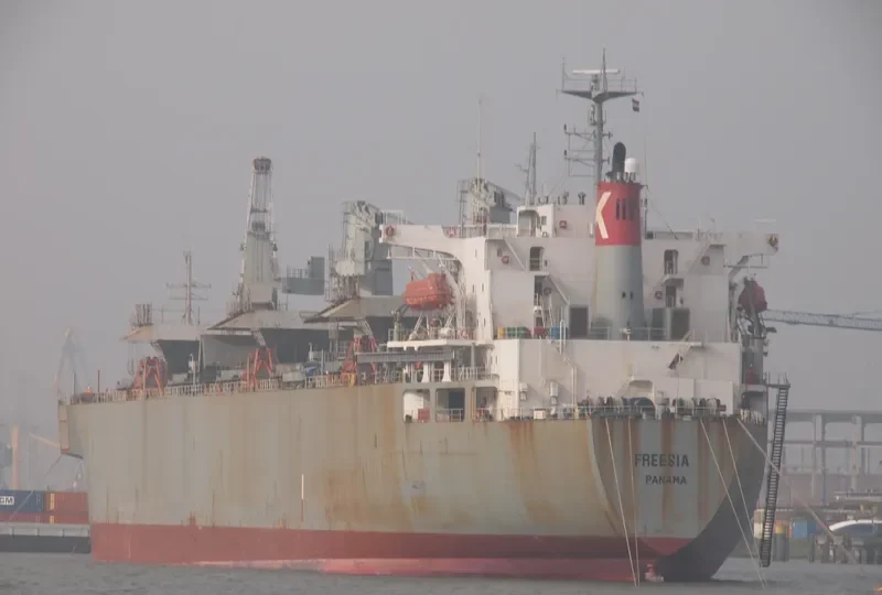 FREESIA Bulk Carrier IMO 8812629 photo 9