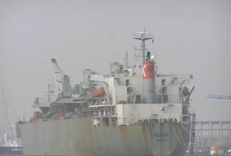 FREESIA Bulk Carrier IMO 8812629 photo 10