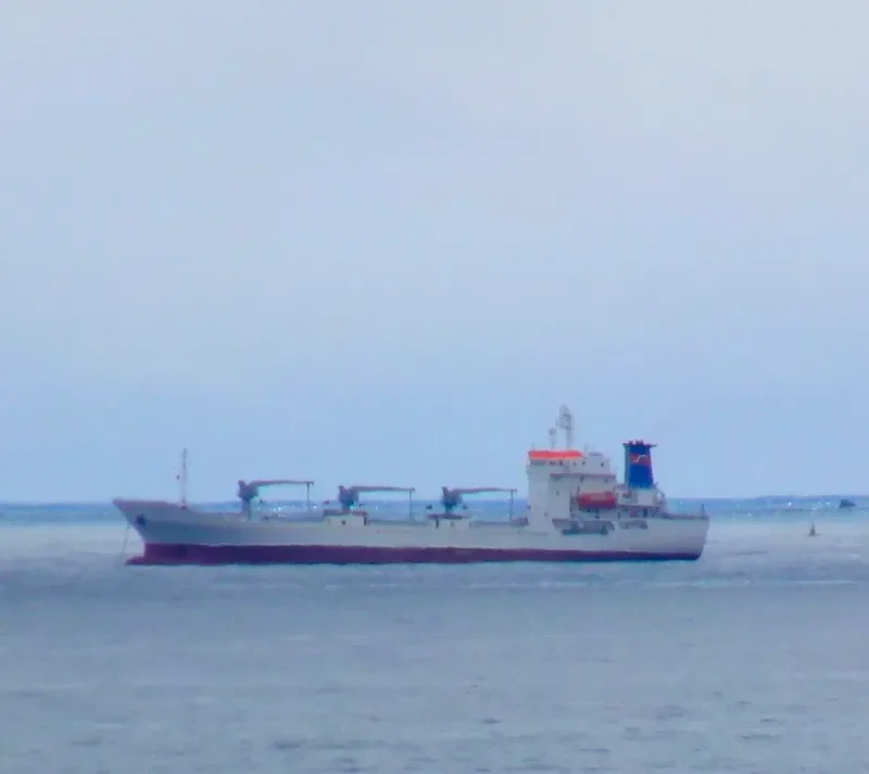 NAUTA General Cargo IMO 8812796 photo 9