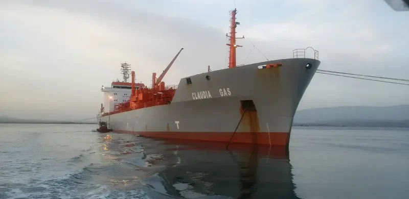 CLAUDIA GAS General Cargo IMO 8813087 photo 5