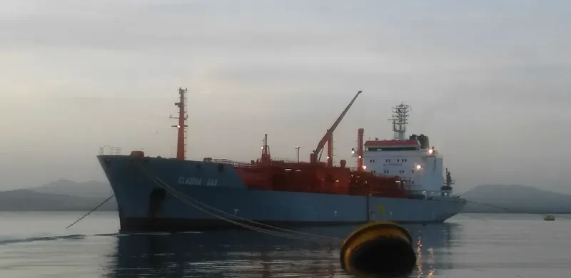 CLAUDIA GAS General Cargo IMO 8813087 photo 6