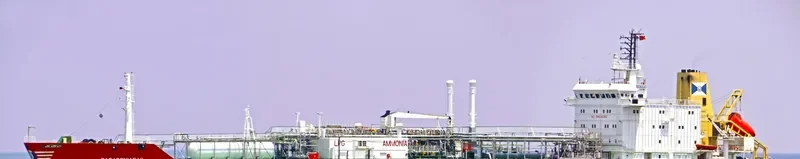 EUGENIA GAS General Cargo IMO 8813099 photo 2