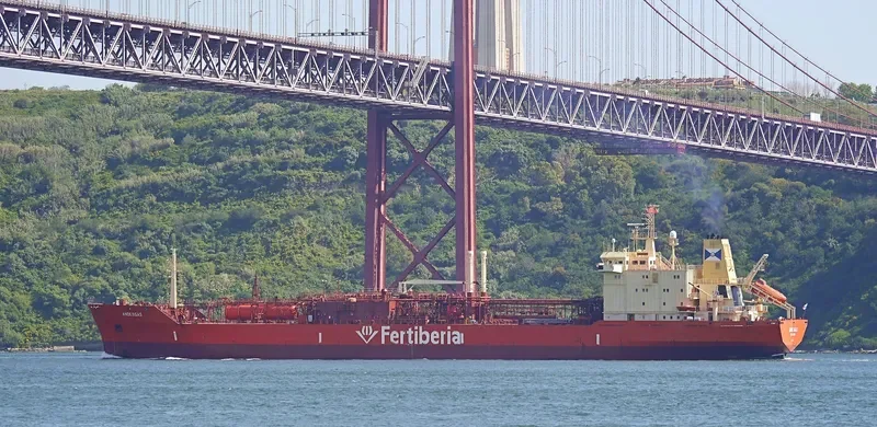 ANDESGAS General Cargo IMO 8813104