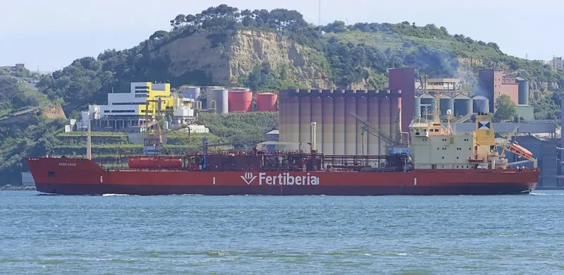 ANDESGAS General Cargo IMO 8813104 photo 2