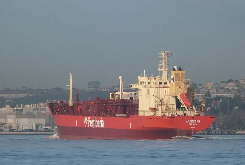 ANDESGAS General Cargo IMO 8813104 photo 5