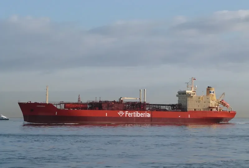ANDESGAS General Cargo IMO 8813104 photo 6