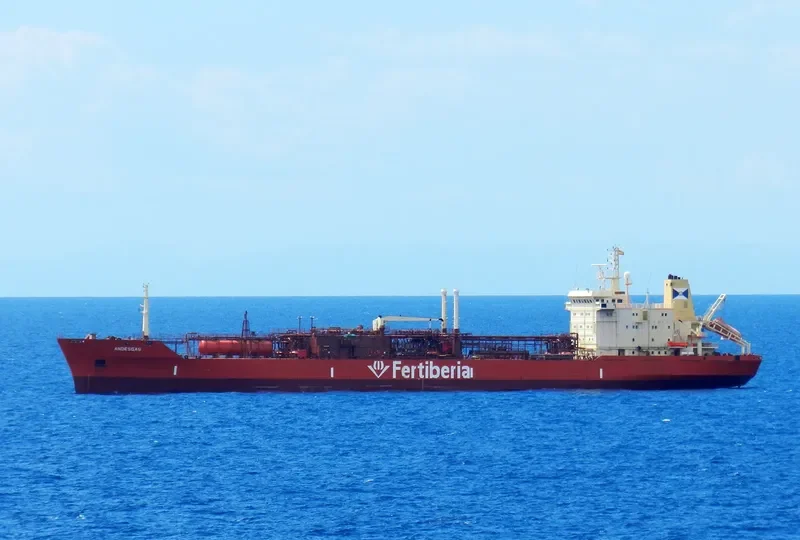 ANDESGAS General Cargo IMO 8813104 photo 7
