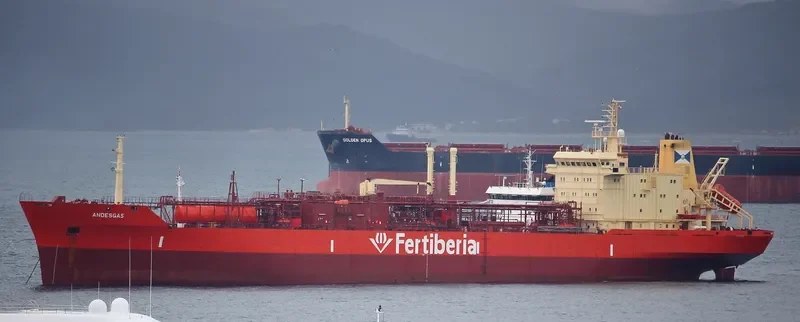 ANDESGAS General Cargo IMO 8813104 photo 8
