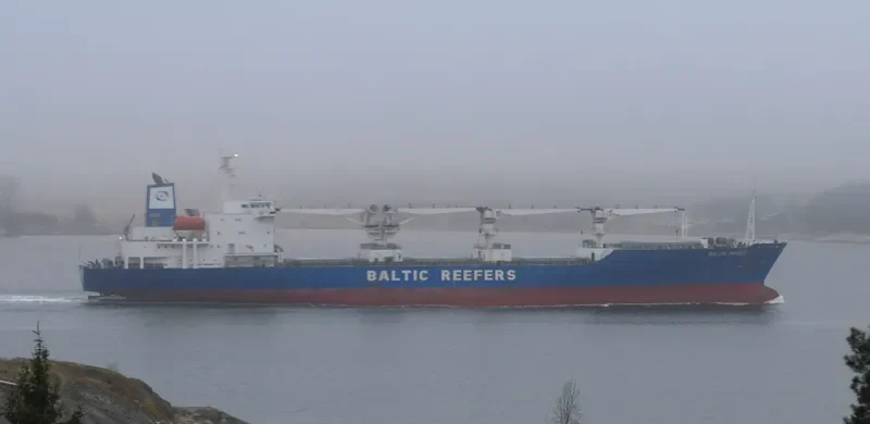BALTIC PRINCE General Cargo IMO 8813594 photo 3