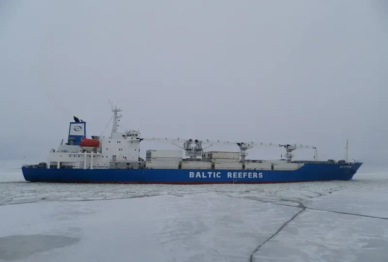 BALTIC PRINCE General Cargo IMO 8813594 photo 4