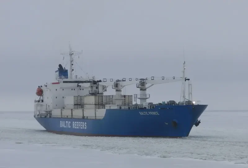 BALTIC PRINCE General Cargo IMO 8813594 photo 5