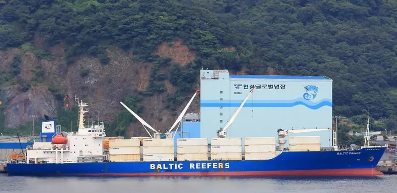 BALTIC PRINCE General Cargo IMO 8813594 photo 6
