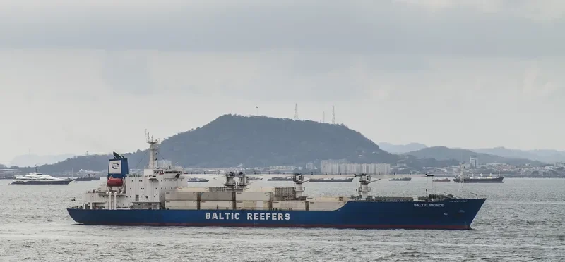BALTIC PRINCE General Cargo IMO 8813594 photo 8