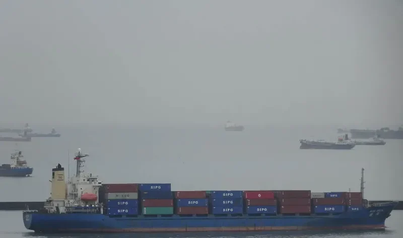 BLUE OCEAN Container Ship IMO 8813611