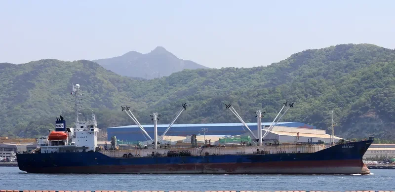 SEIN SKY General Cargo IMO 8813623