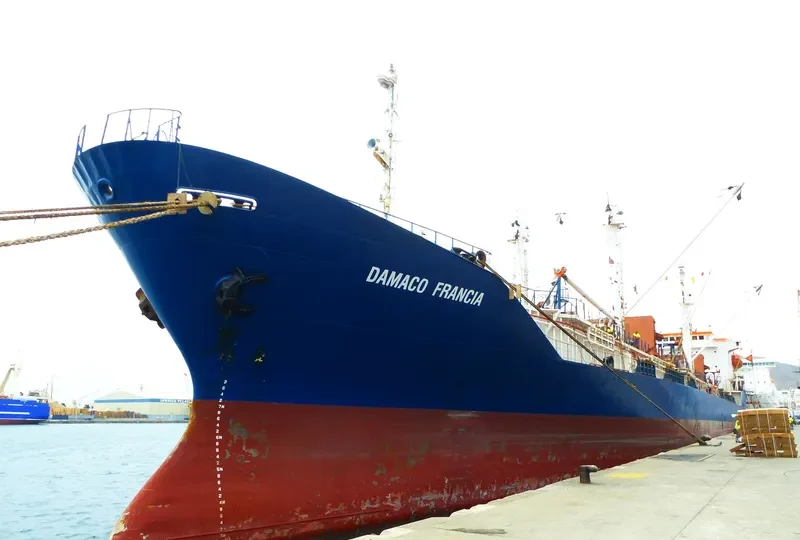 SEIN SKY General Cargo IMO 8813623 photo 3