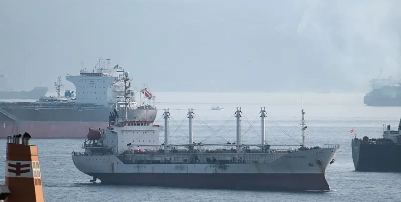 SEIN SKY General Cargo IMO 8813623 photo 5