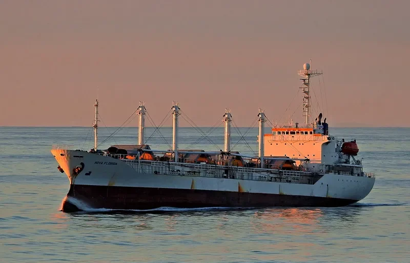 NOVA FLORIDA General Cargo IMO 8813635