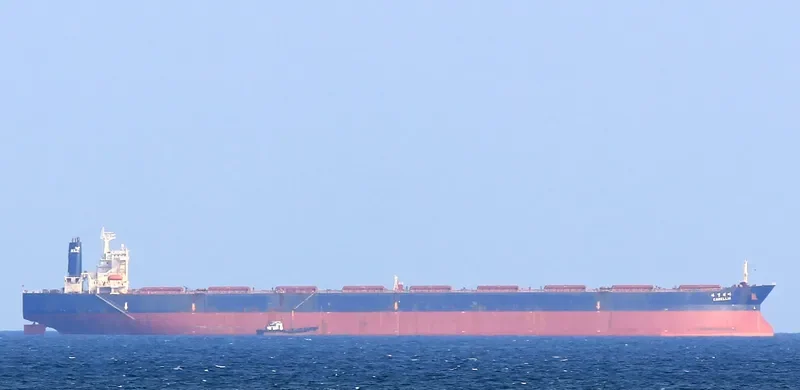CAMELLIA Bulk Carrier IMO 8813673