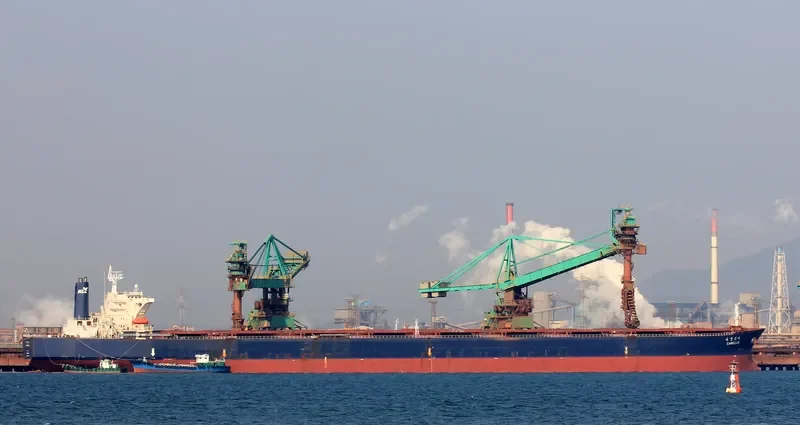 CAMELLIA Bulk Carrier IMO 8813673 photo 2