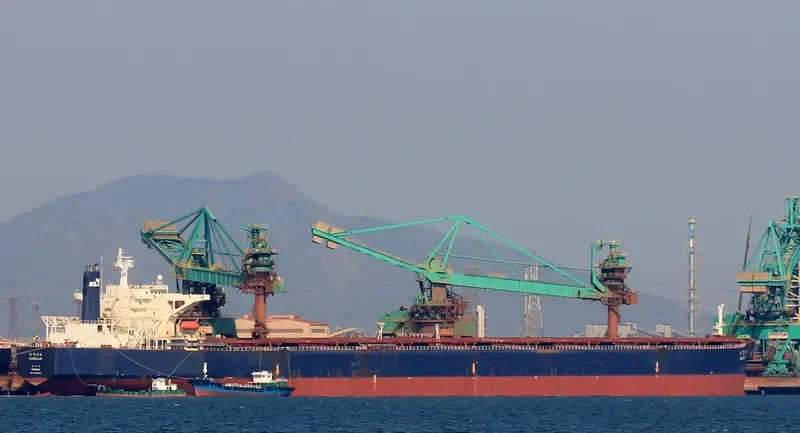 CAMELLIA Bulk Carrier IMO 8813673 photo 3