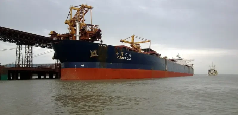 CAMELLIA Bulk Carrier IMO 8813673 photo 4