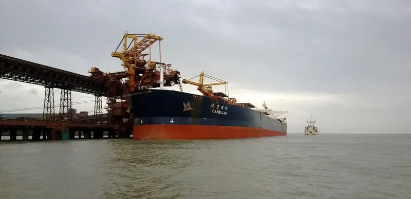 CAMELLIA Bulk Carrier IMO 8813673 photo 5