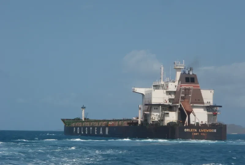 ORLETA LWOWSKIE Bulk Carrier IMO 8813960 photo 2