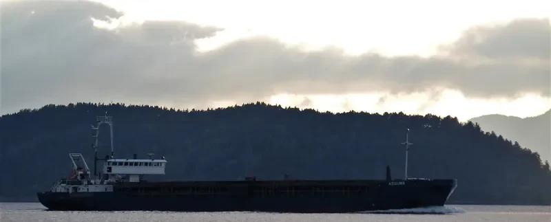 KEGUMS General Cargo IMO 8813972 photo 3