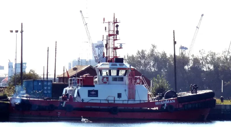 IRISHMAN General Cargo IMO 8816338 photo 4