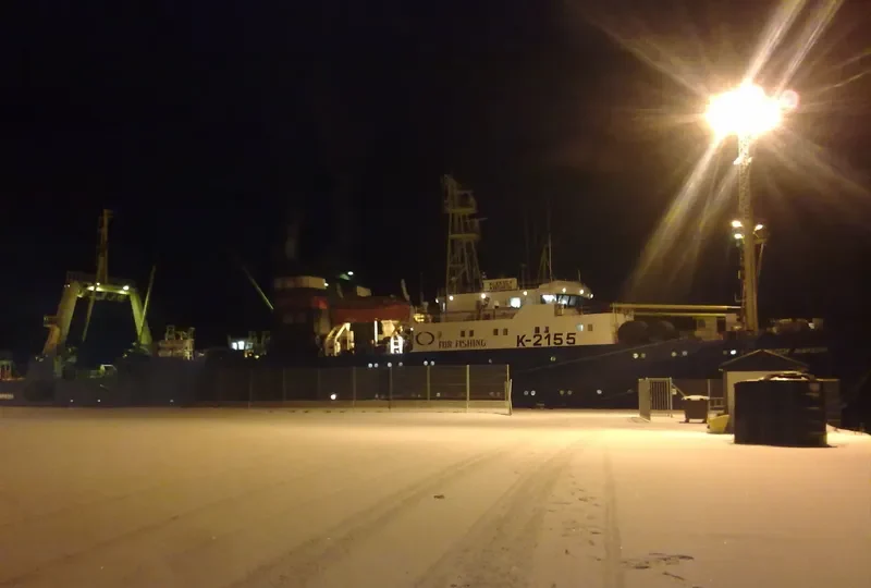 ALEKSEY ANICHKIN General Cargo IMO 8817423