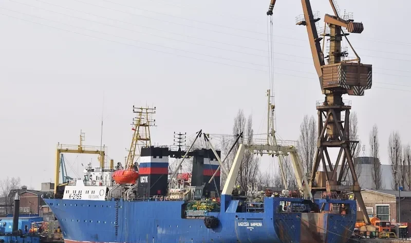 ALEKSEY ANICHKIN General Cargo IMO 8817423 photo 2