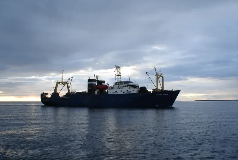 ALEKSEY ANICHKIN General Cargo IMO 8817423 photo 4