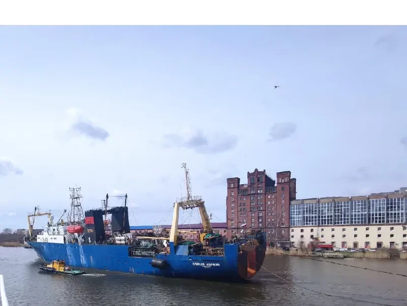 ALEKSEY ANICHKIN General Cargo IMO 8817423 photo 6