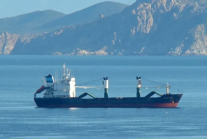 DANA General Cargo IMO 8817837 photo 4