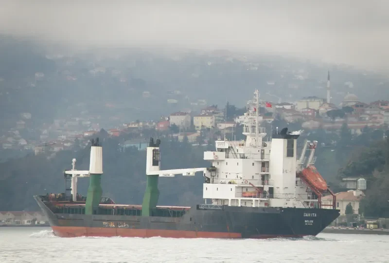 SEA VOYAGER General Cargo IMO 8817851