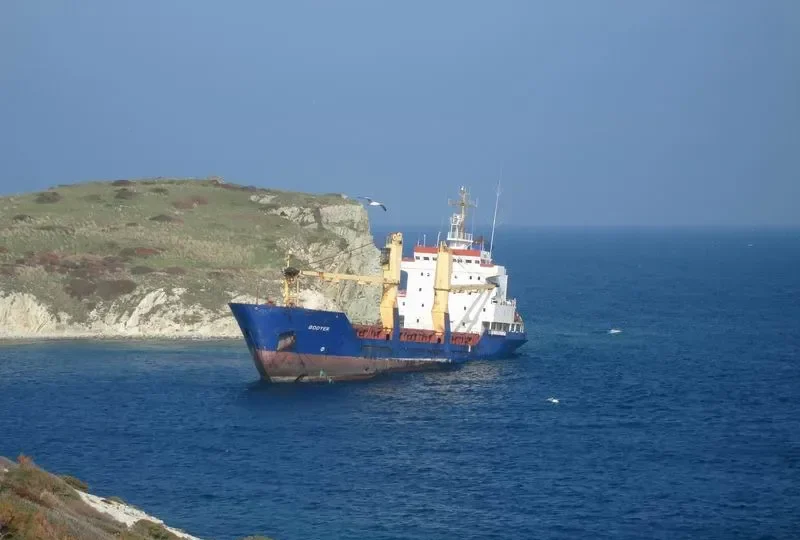 BODYER General Cargo IMO 8817863