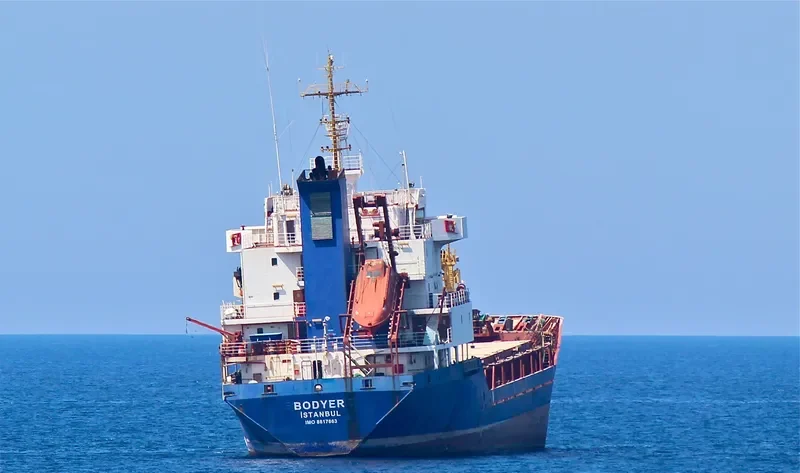 BODYER General Cargo IMO 8817863 photo 3