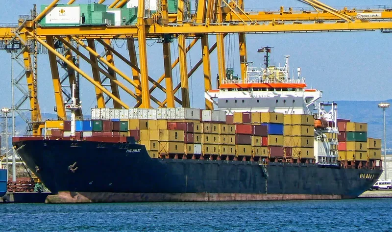 MSC HAILEY Container Ship IMO 8818180