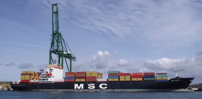 MSC HAILEY Container Ship IMO 8818180 photo 3